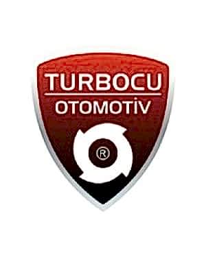 Volvo 960 Turbo  (165 Hp), 49189-01000, 49189-01010, 3517646, 5003713