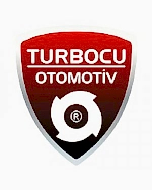 Nissan Juke 1.6 Turbo (200 Hp), 8273885009S, 8273880009, 827388-0003, 827388-5009S, 14411BV82A, 14411-BV84B