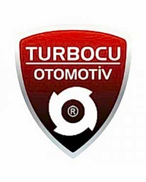 Ford Fiesta 1.6 ST Turbo (182 Hp), 5439 998 0131, 5439 970 0130, 5439 970 0124, 5439 970 0121, 5439 970 0125, CJ5G-6K682DA, CJ5G-6K682CA, CJ5G-6K682BA