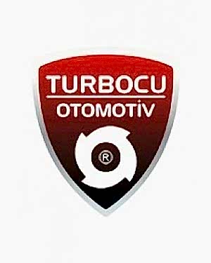 Volkswagen Beetle Turbo 1.9 TDI (101 Hp), 716419-5002S, 716419-0002, 038253019Q