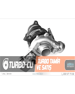 Mercedes B200 Cdi Turbosu, AL0058 Turbo, A6510900886